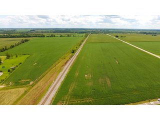 Property photo 13 - LAND AUCTION - 84+/- ACRES IN RUSH COUNTY, INDIANA